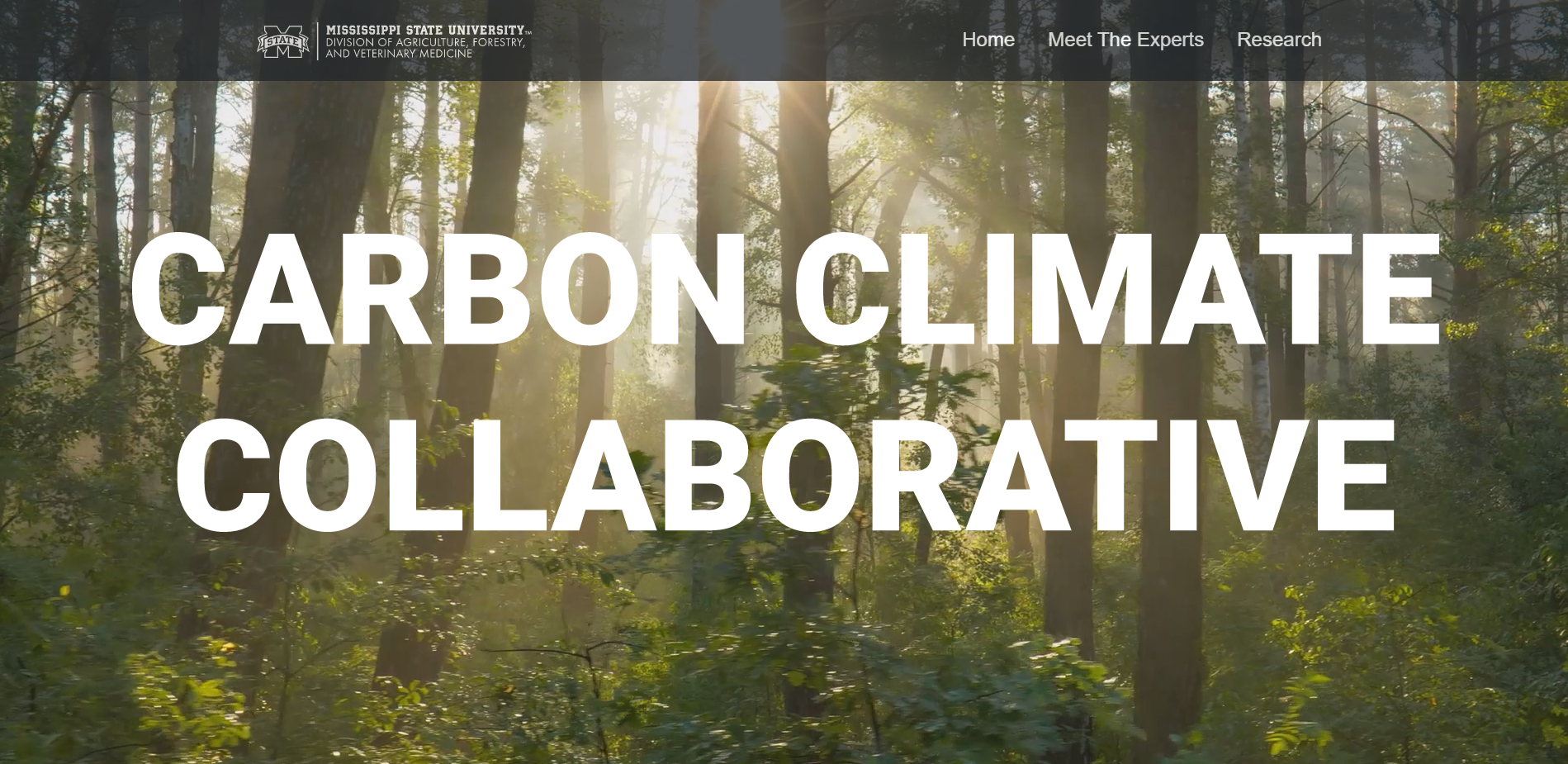 Carbon Climate Collaborative